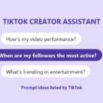 TikTok Creator Assistant: three prompt ideas listed by TikTok in chat bubbles