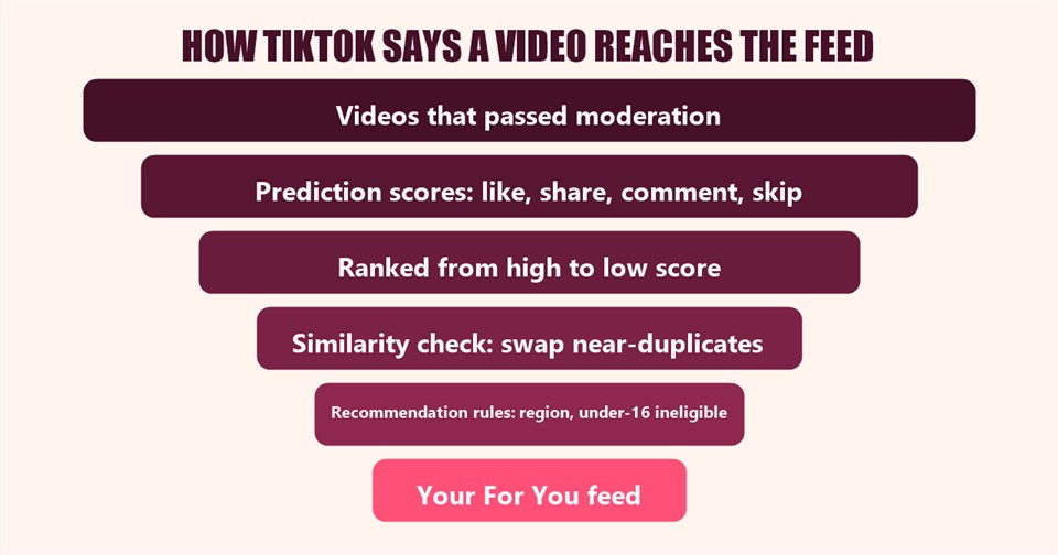 The five steps TikTok describes for the For You feed: select videos, predict, rank, similarity check and recommendation rules