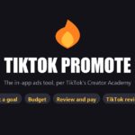 TikTok Promote: an orange flame icon above the title and four step chips: pick a goal, budget, review and pay, TikTok reviews