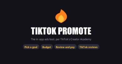 TikTok Promote: an orange flame icon above the title and four step chips: pick a goal, budget, review and pay, TikTok reviews