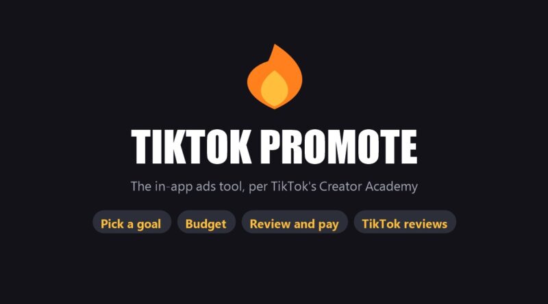 TikTok Promote: an orange flame icon above the title and four step chips: pick a goal, budget, review and pay, TikTok reviews